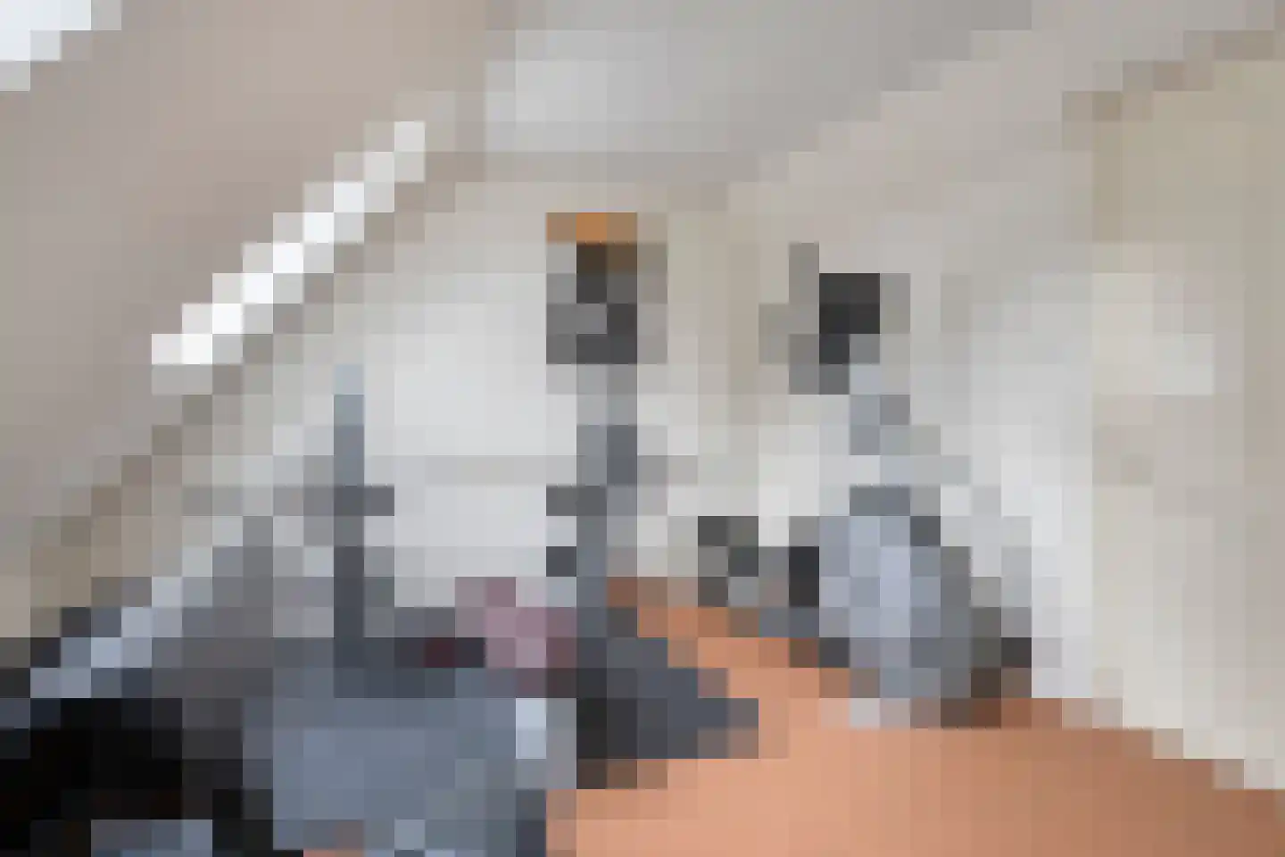 Snavelbies 11 Bovensmilde thumbnail 51