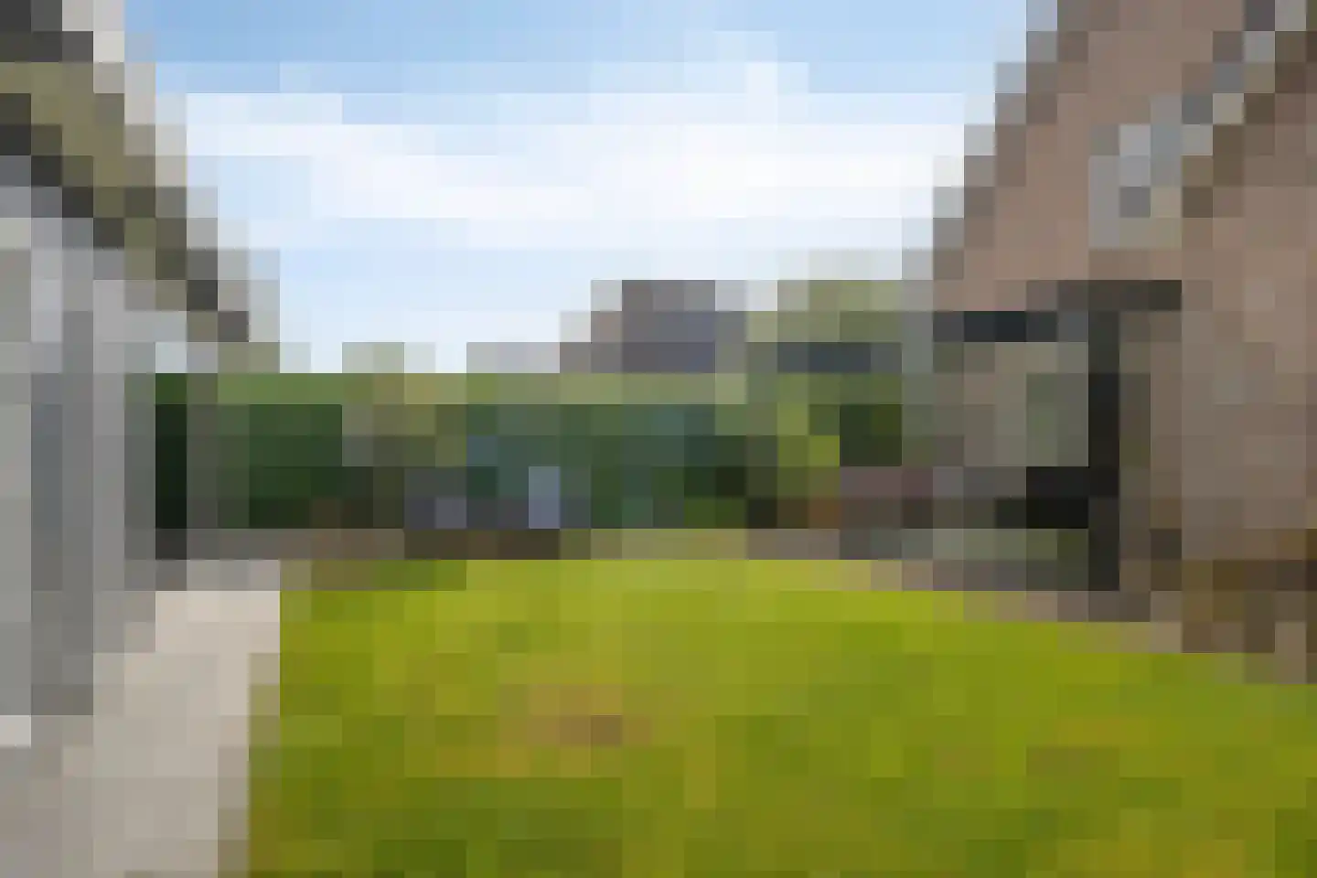 Snavelbies 11 Bovensmilde thumbnail 61