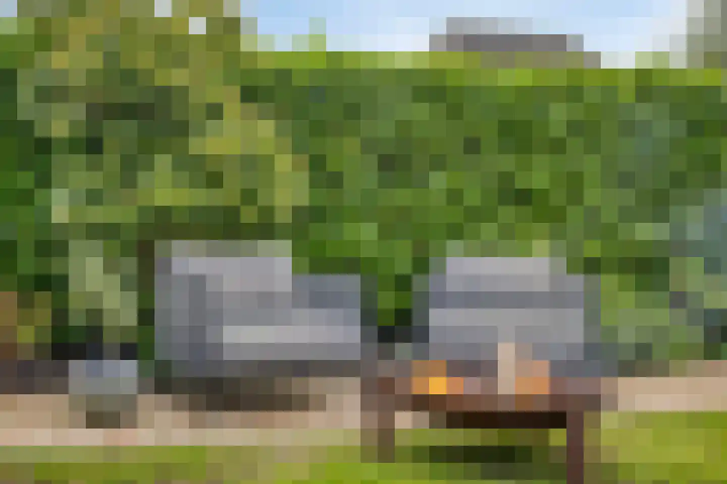 Snavelbies 11 Bovensmilde thumbnail 64