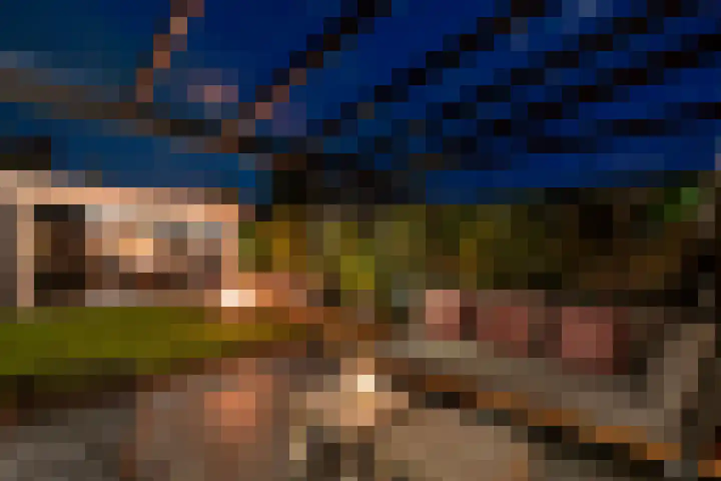 Snavelbies 11 Bovensmilde thumbnail 68