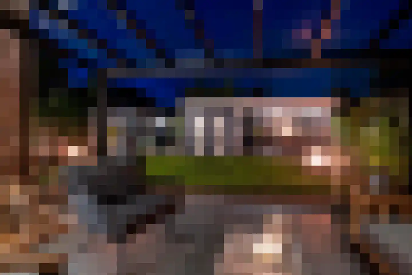 Snavelbies 11 Bovensmilde thumbnail 69