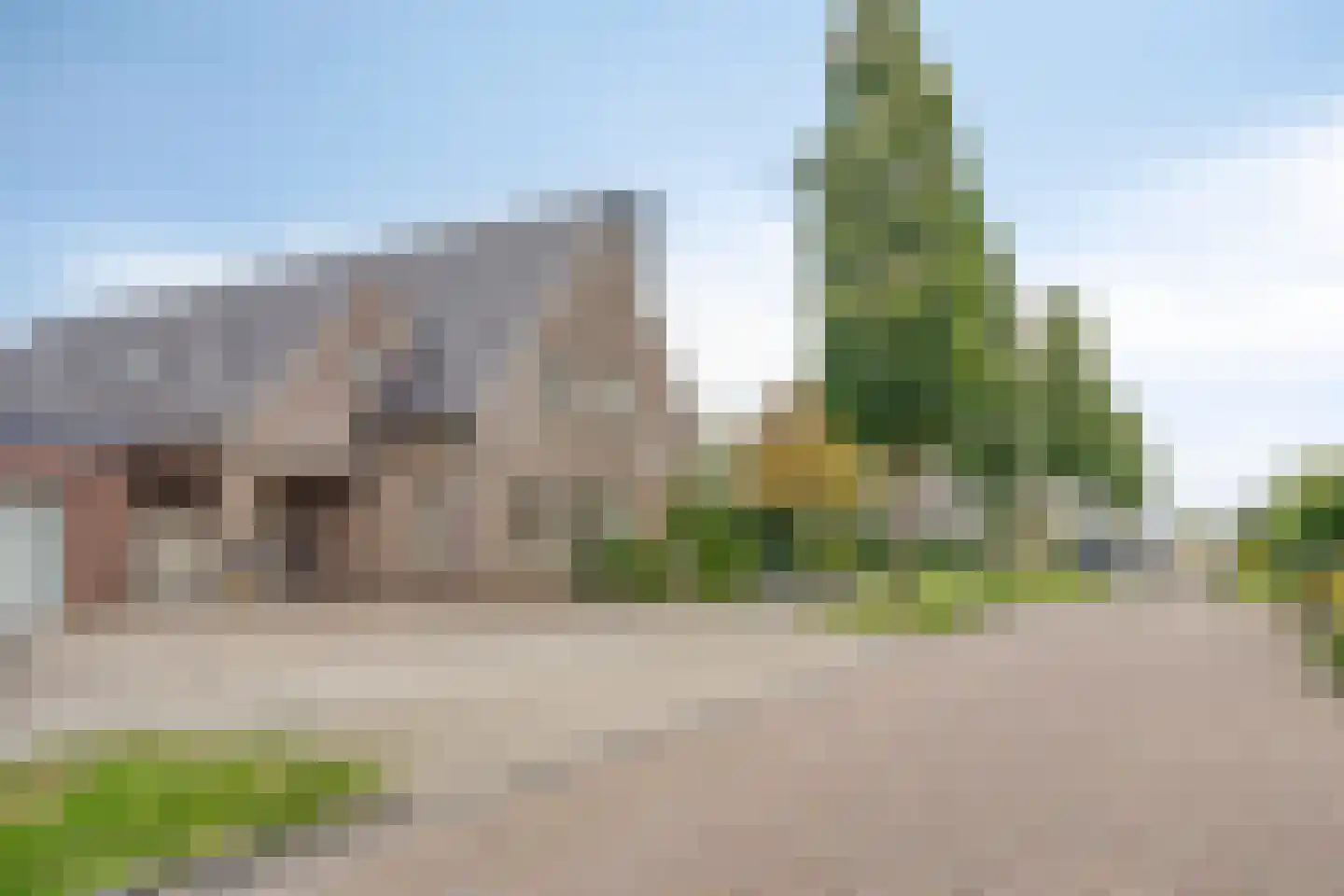 Snavelbies 11 Bovensmilde thumbnail 81