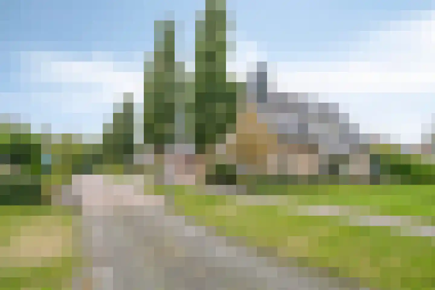 Snavelbies 11 Bovensmilde thumbnail 82