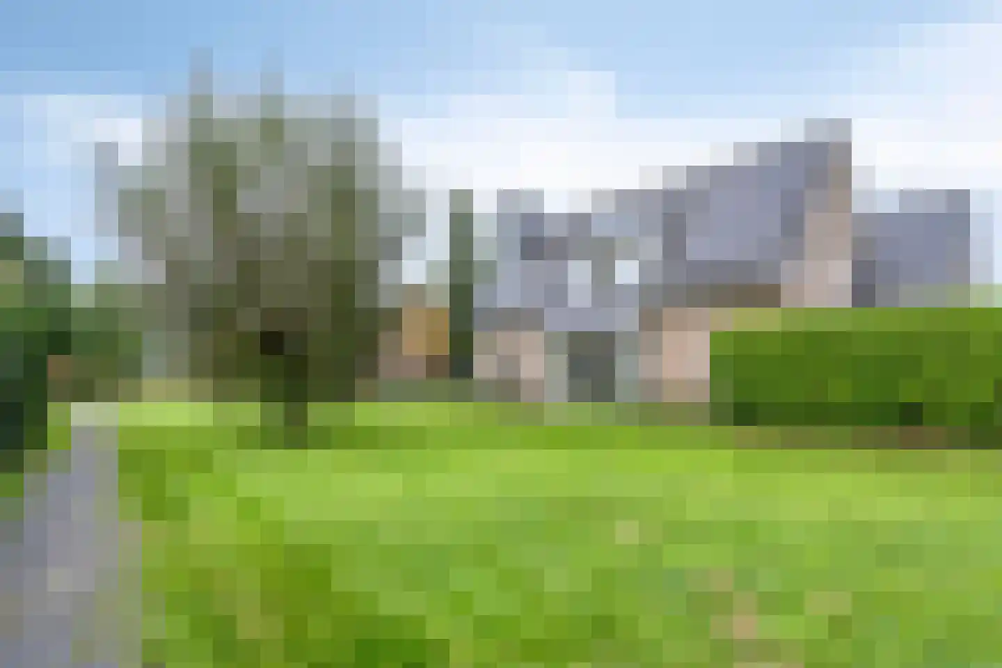 Snavelbies 11 Bovensmilde thumbnail 83