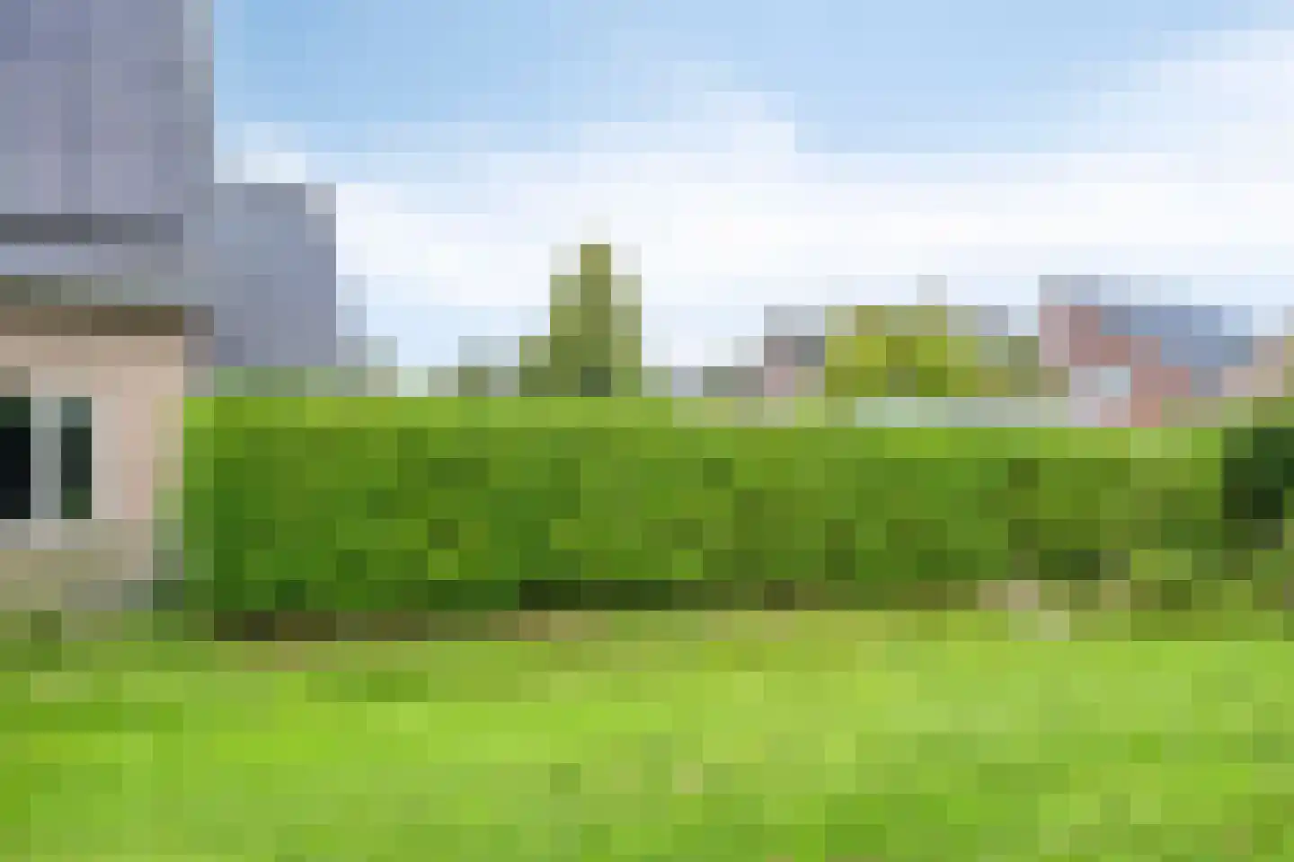 Snavelbies 11 Bovensmilde thumbnail 84