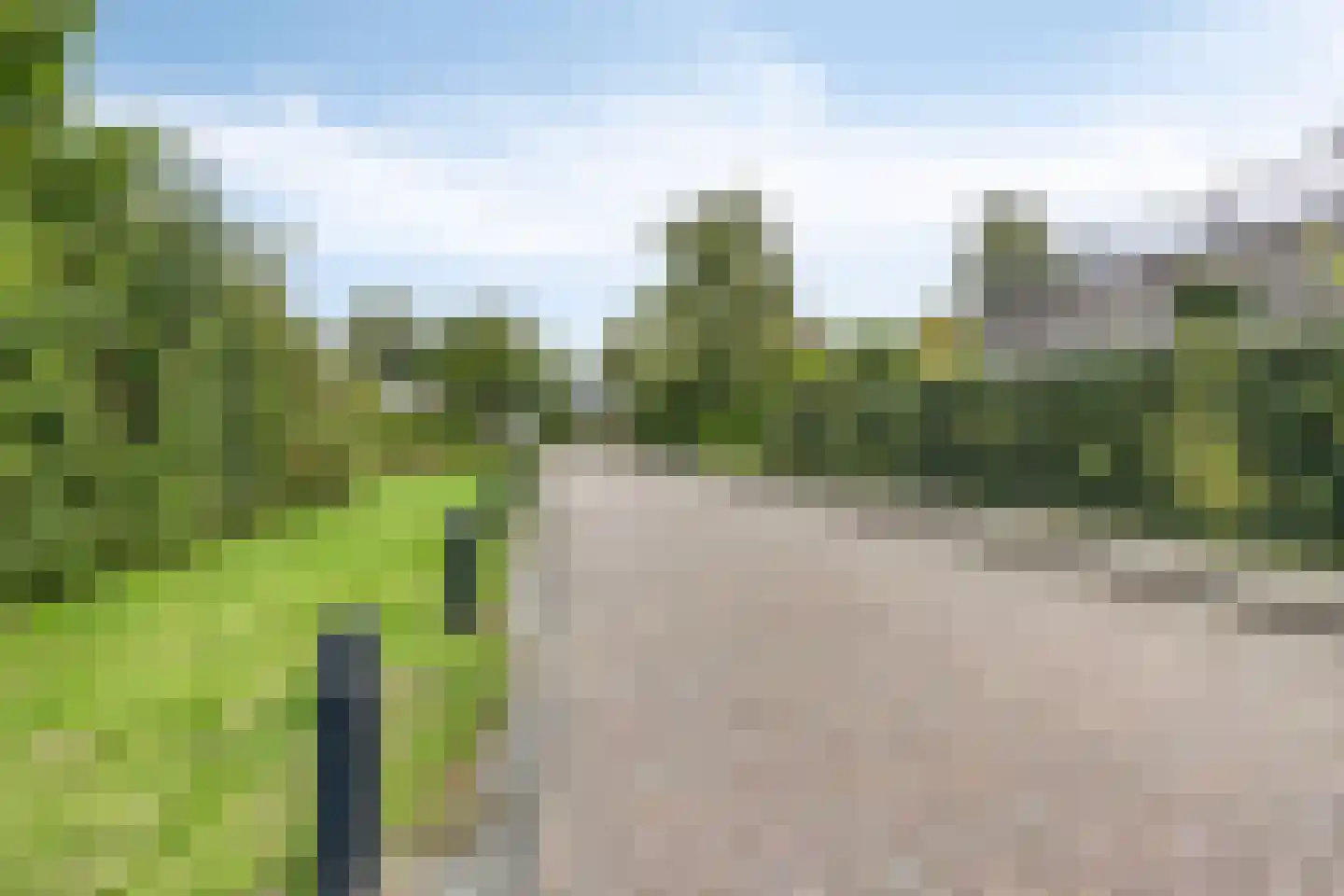 Snavelbies 11 Bovensmilde thumbnail 87