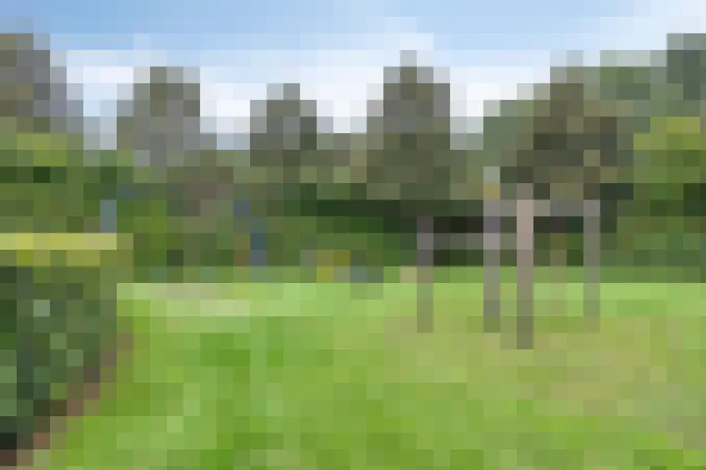 Snavelbies 11 Bovensmilde thumbnail 88