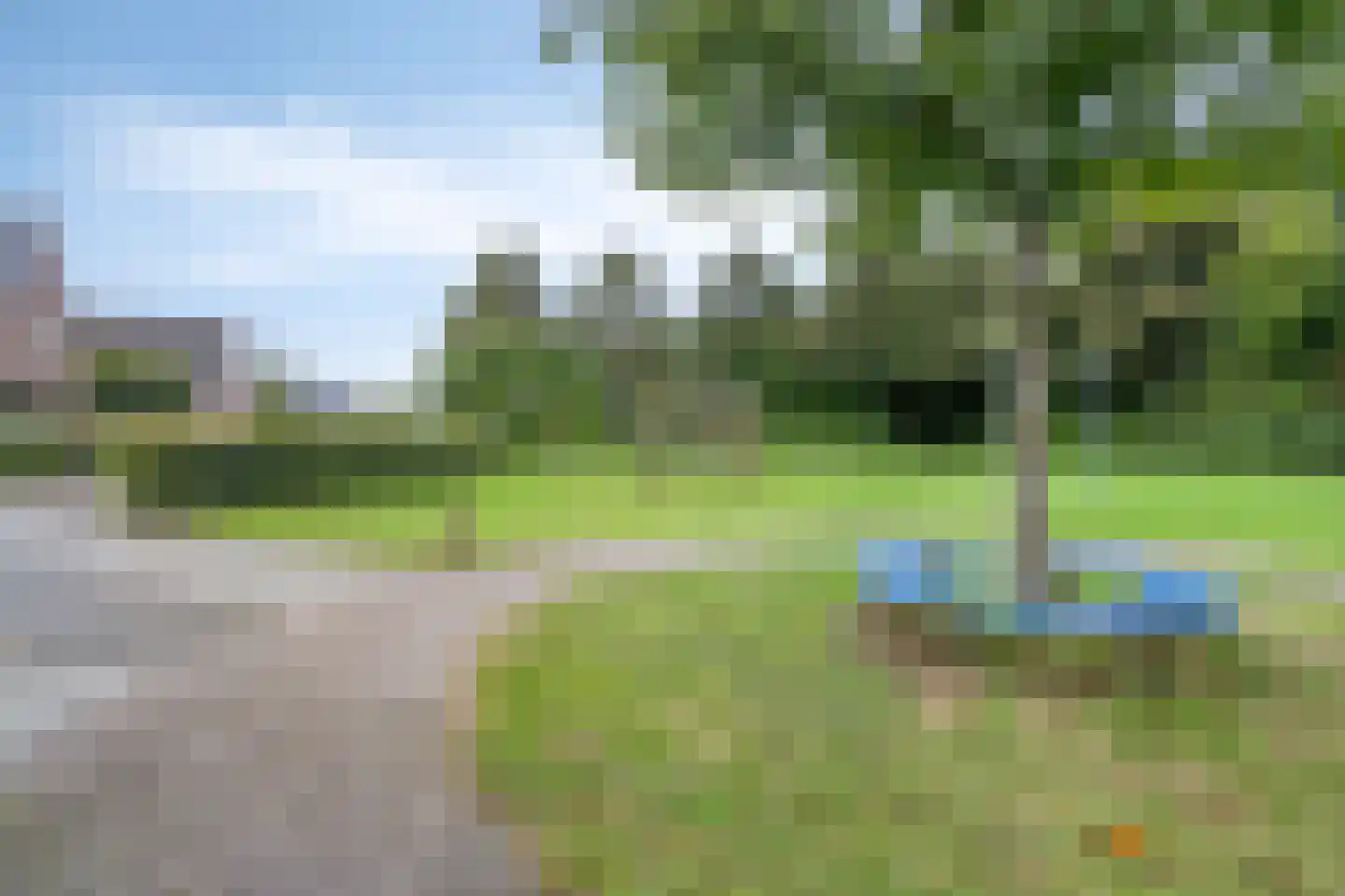 Snavelbies 11 Bovensmilde thumbnail 89