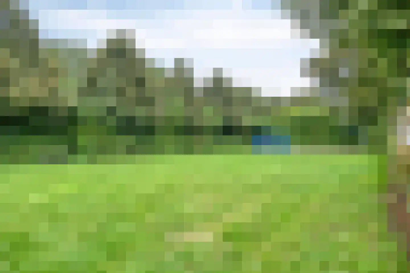 Snavelbies 11 Bovensmilde thumbnail 91