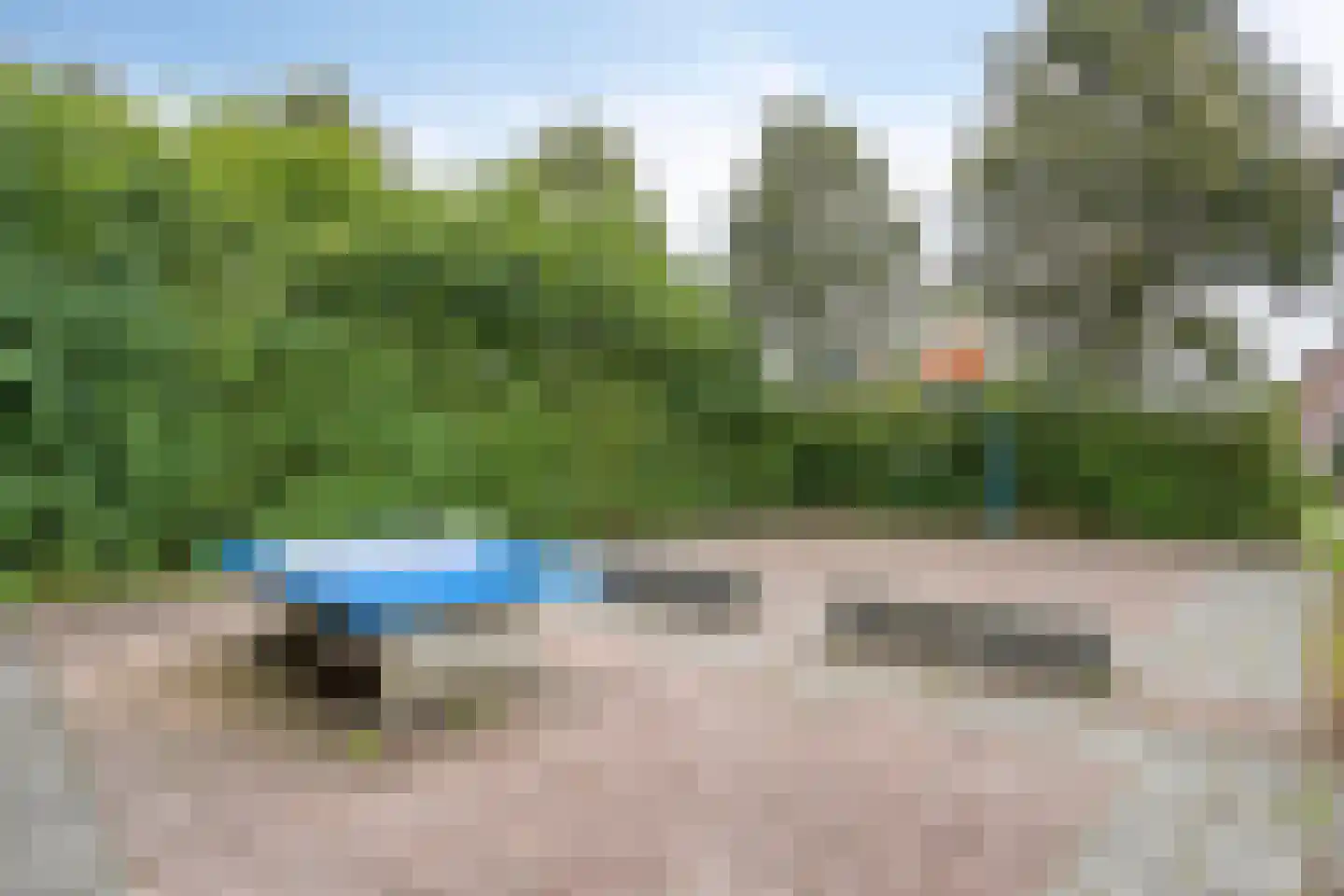 Snavelbies 11 Bovensmilde thumbnail 92