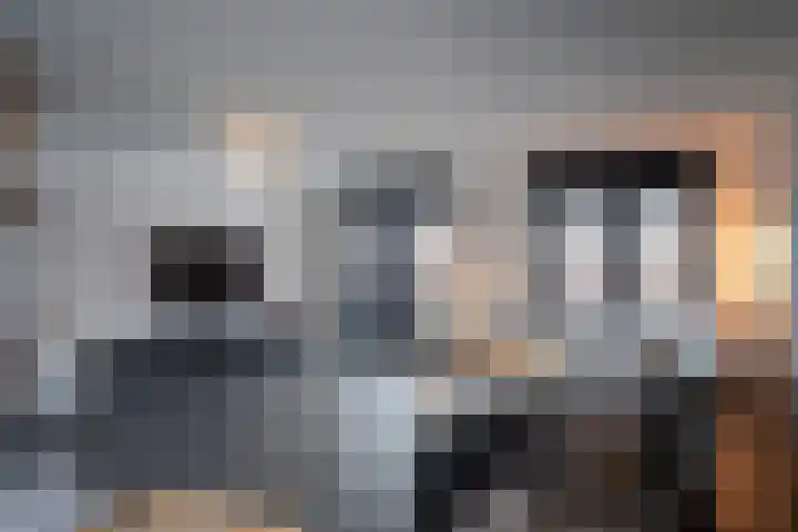 Snavelbies 23 Reuver thumbnail 11