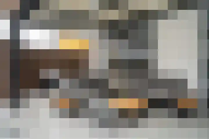 Snavelbies 23 Reuver thumbnail 28