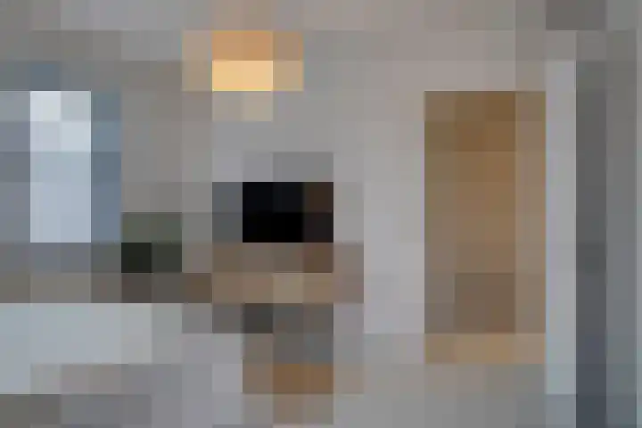 Snavelbies 23 Reuver thumbnail 33