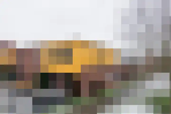 Snavelbies 23 Reuver thumbnail 40