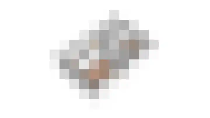 Snavelbies 23 Reuver thumbnail 48