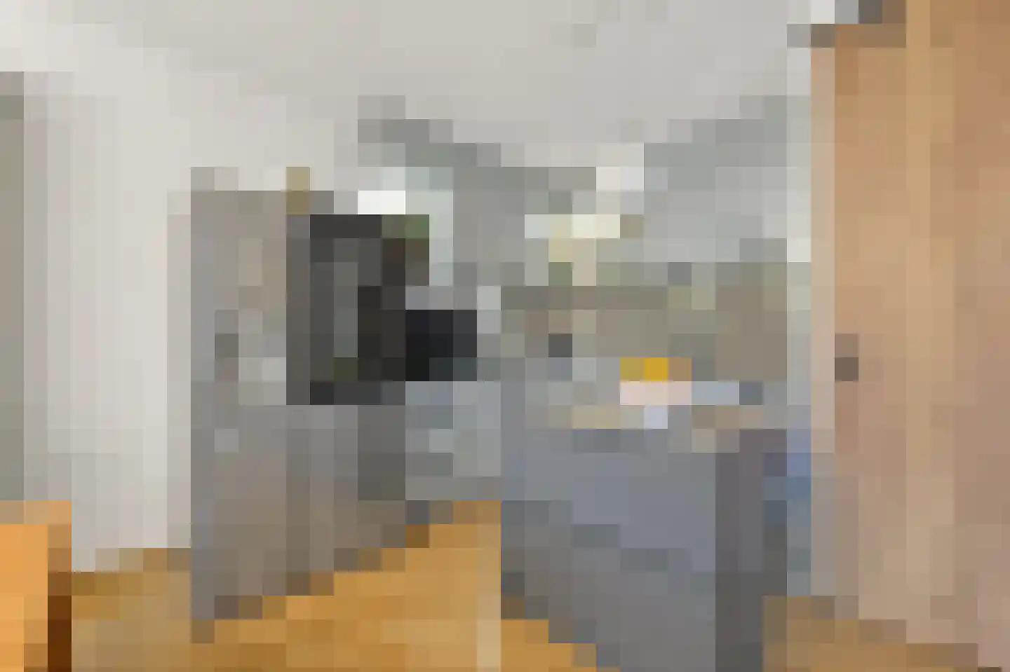 Snavelbies 3 Den Haag thumbnail 10