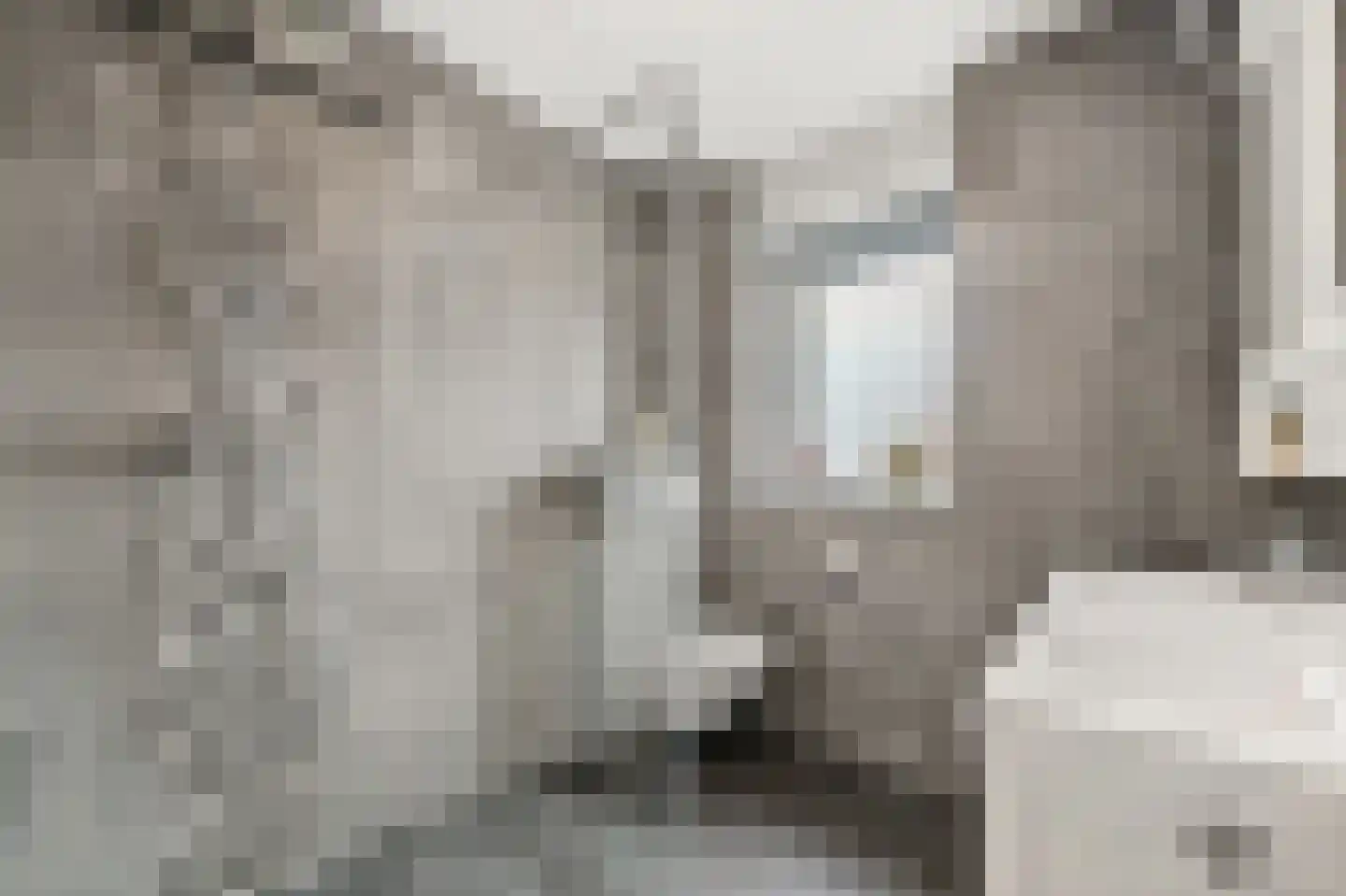 Snavelbies 3 Den Haag thumbnail 14