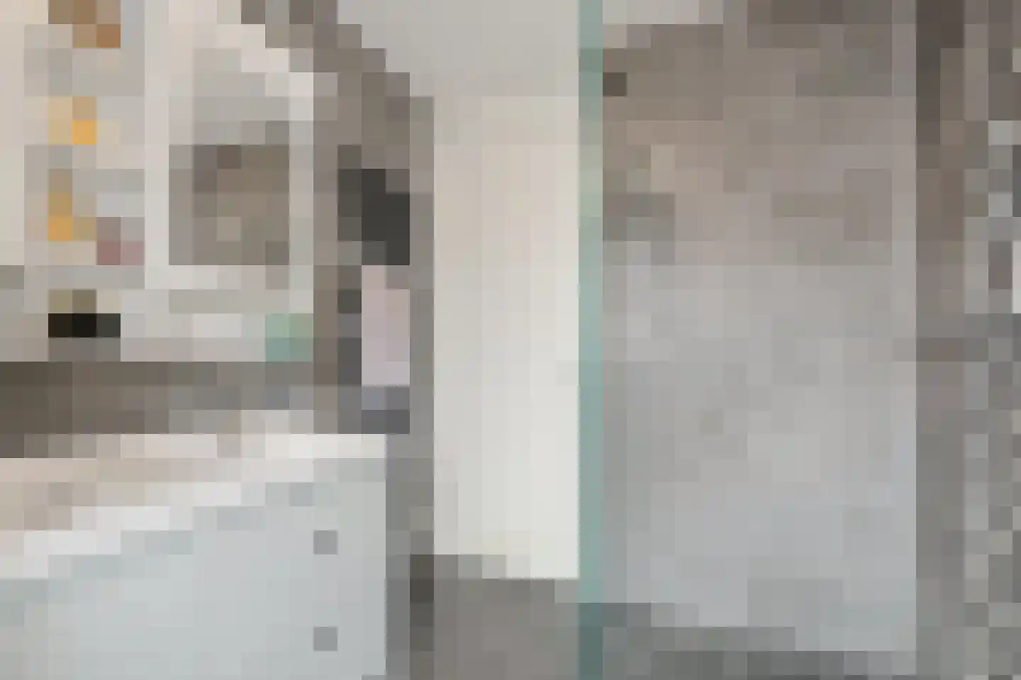 Snavelbies 3 Den Haag thumbnail 15