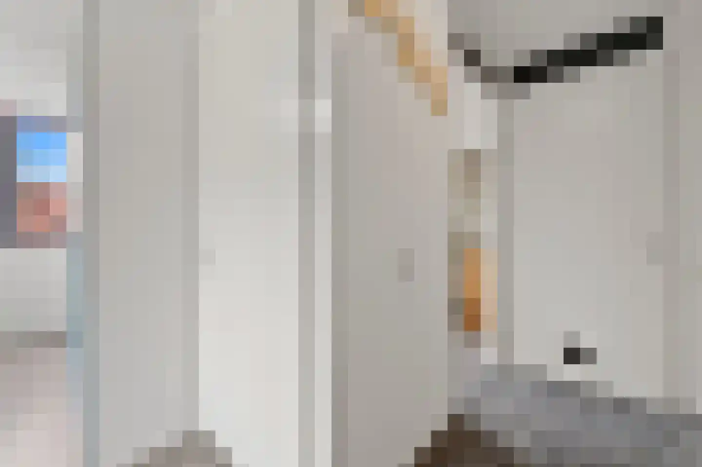 Snavelbies 3 Den Haag thumbnail 18