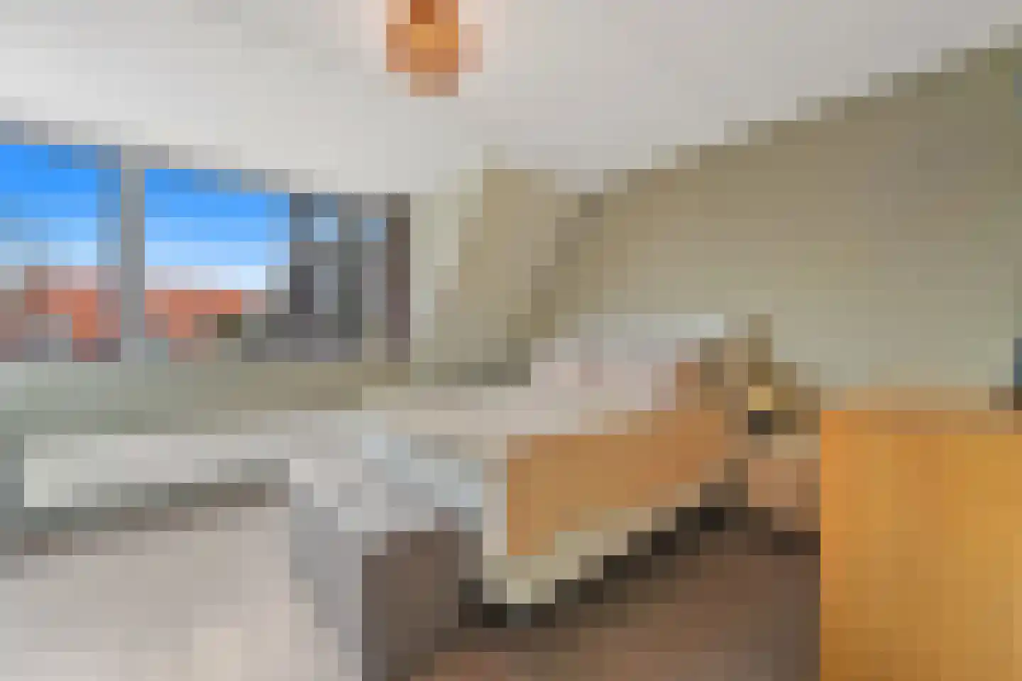 Snavelbies 3 Den Haag thumbnail 19
