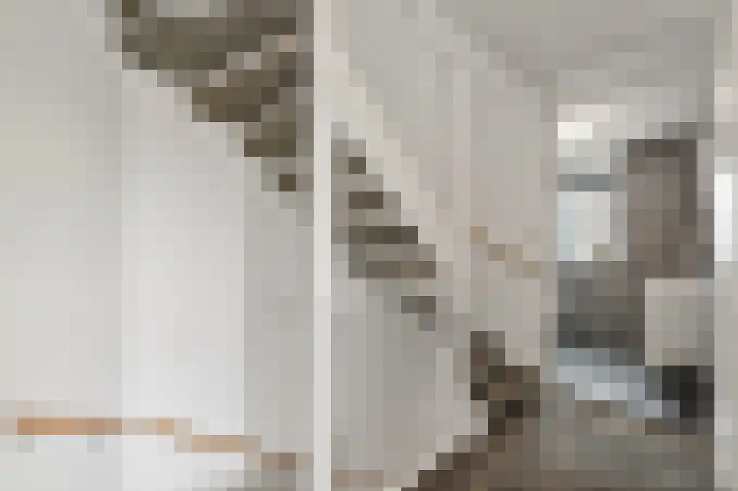 Snavelbies 3 Den Haag thumbnail 22