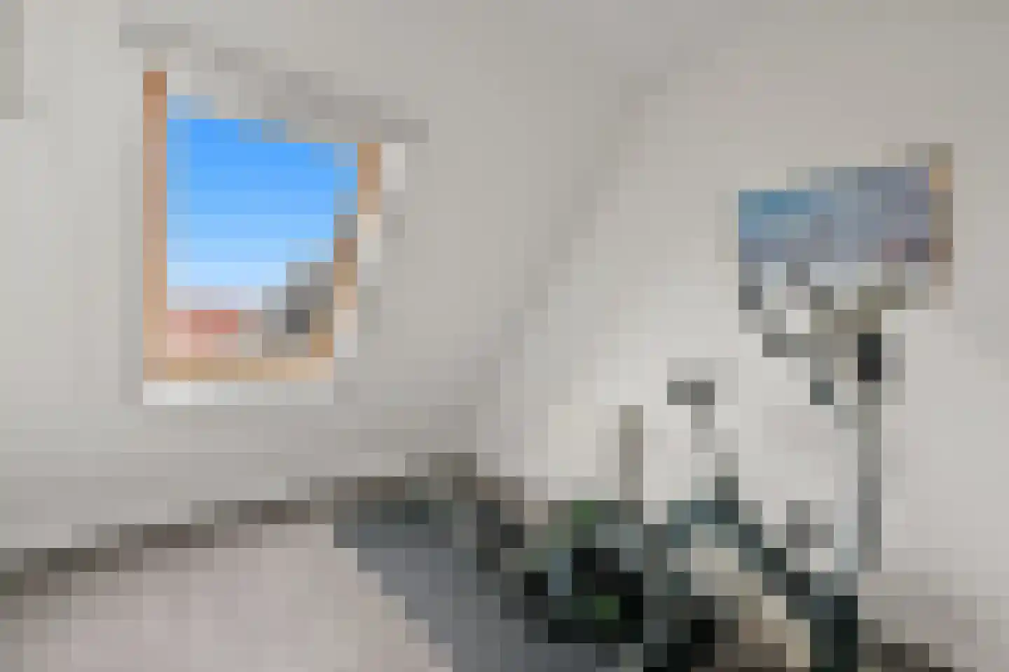 Snavelbies 3 Den Haag thumbnail 27