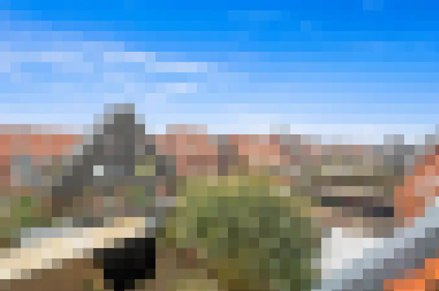 Snavelbies 3 Den Haag thumbnail 30