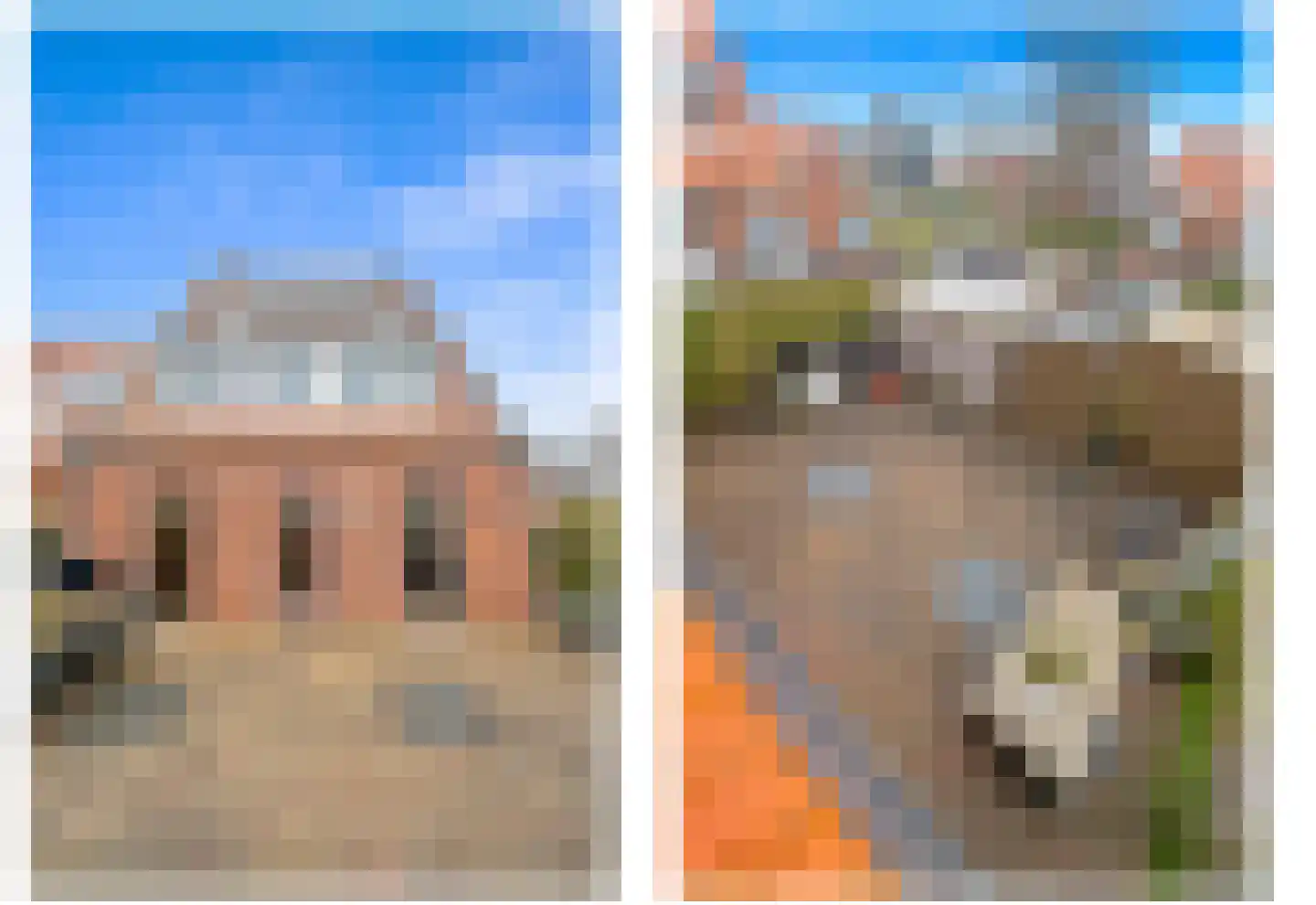 Snavelbies 3 Den Haag thumbnail 32