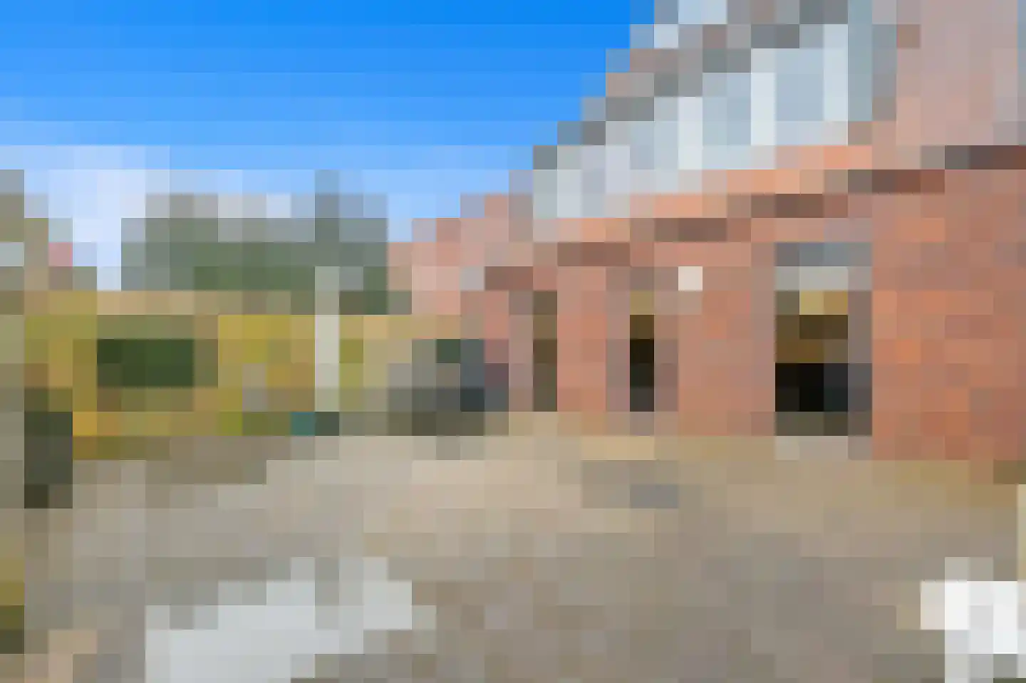 Snavelbies 3 Den Haag thumbnail 33