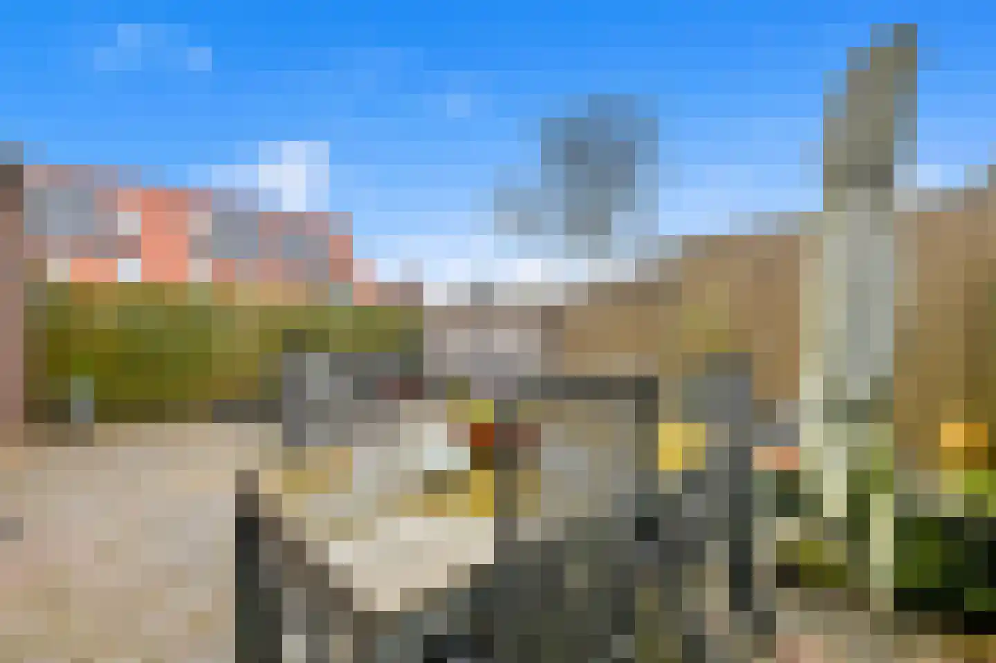 Snavelbies 3 Den Haag thumbnail 35