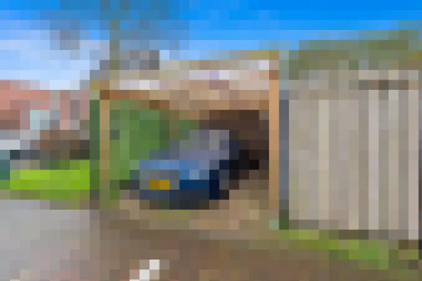Snavelbies 3 Den Haag thumbnail 37