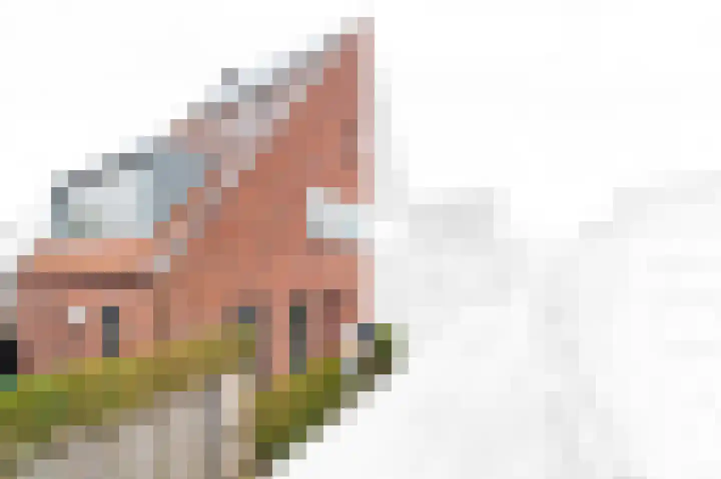 Snavelbies 3 Den Haag thumbnail 38