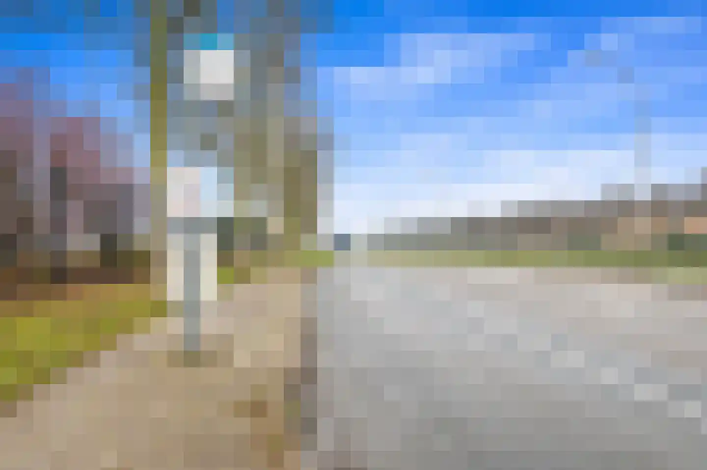 Snavelbies 3 Den Haag thumbnail 43