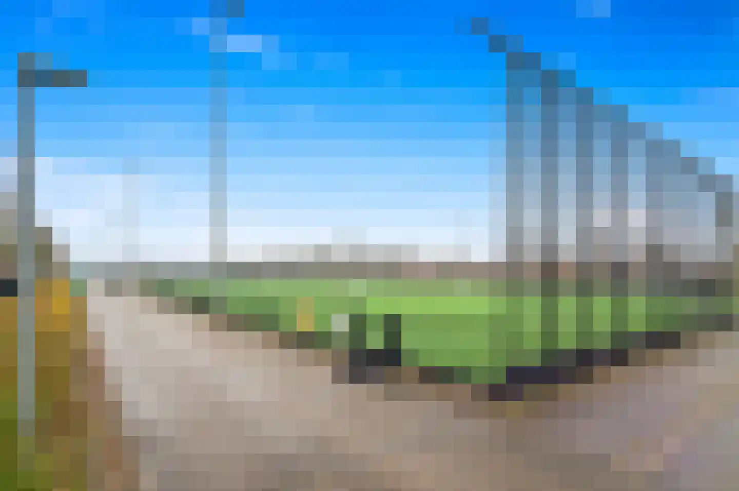 Snavelbies 3 Den Haag thumbnail 45