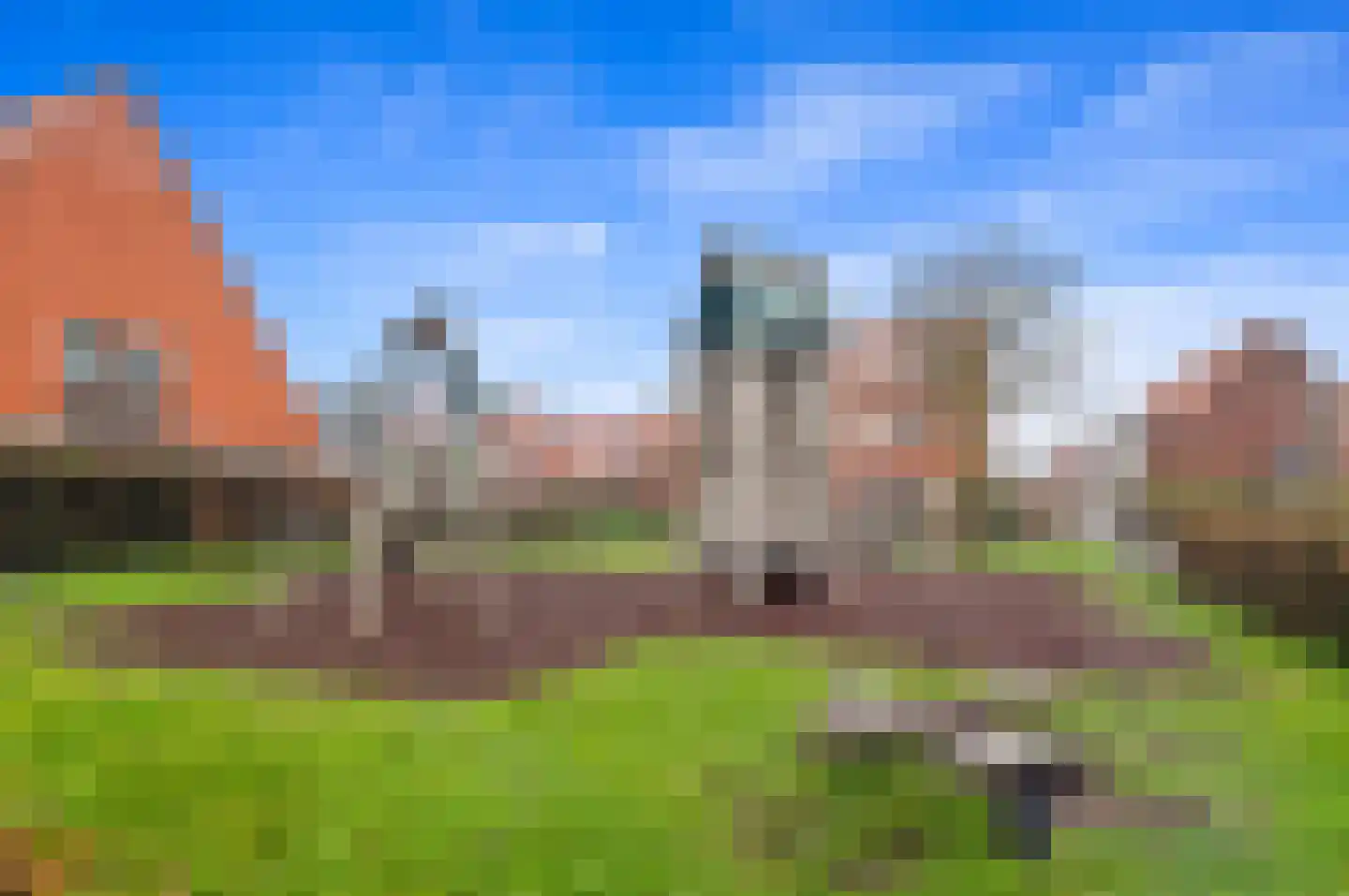 Snavelbies 3 Den Haag thumbnail 46