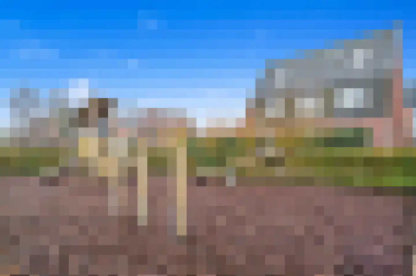 Snavelbies 3 Den Haag thumbnail 47