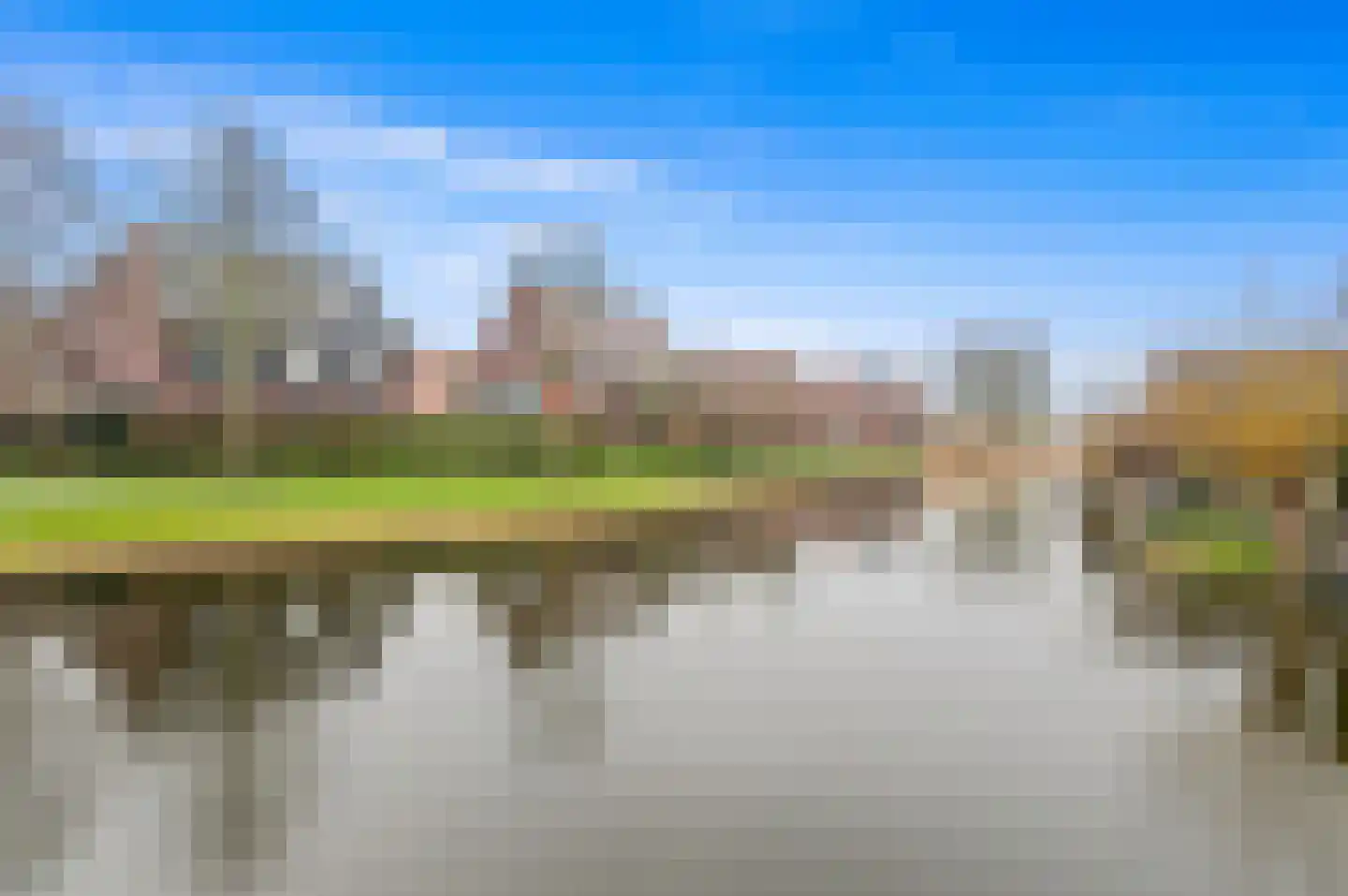 Snavelbies 3 Den Haag thumbnail 48