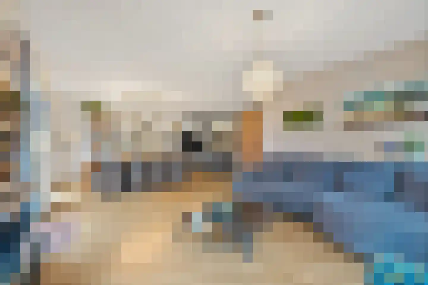 Snavelbies 3 Den Haag thumbnail 7