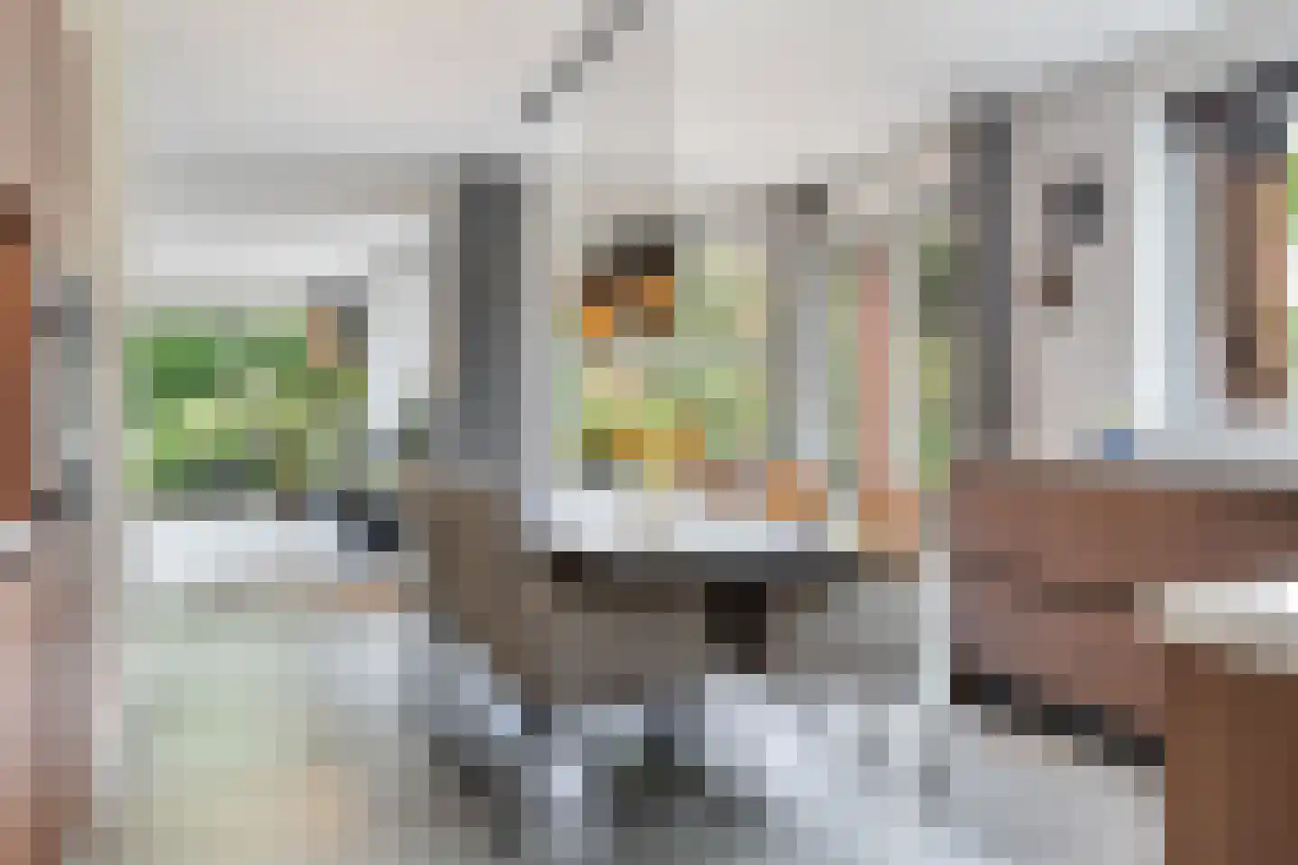 Snavelbies 6 Bovensmilde thumbnail 12