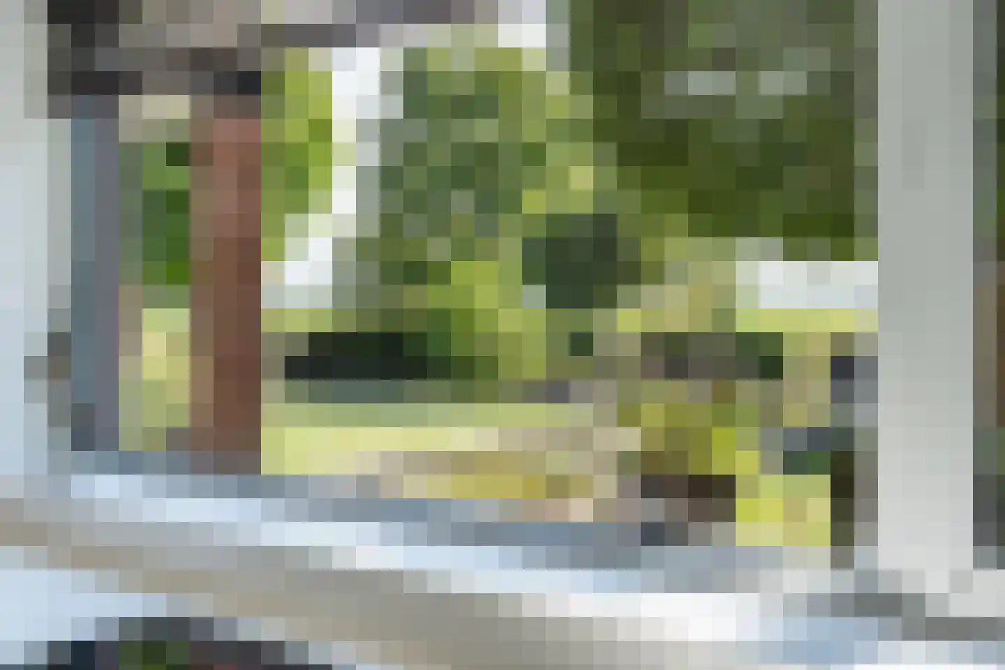 Snavelbies 6 Bovensmilde thumbnail 14