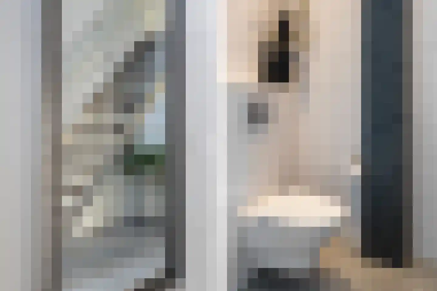Snavelbies 6 Bovensmilde thumbnail 21