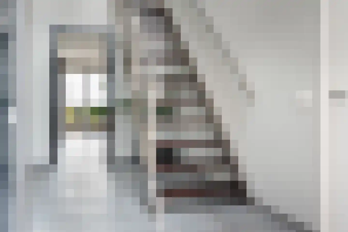 Snavelbies 6 Bovensmilde thumbnail 22
