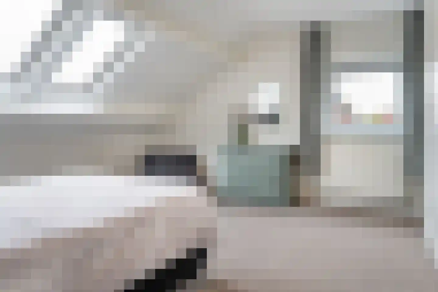 Snavelbies 6 Bovensmilde thumbnail 31