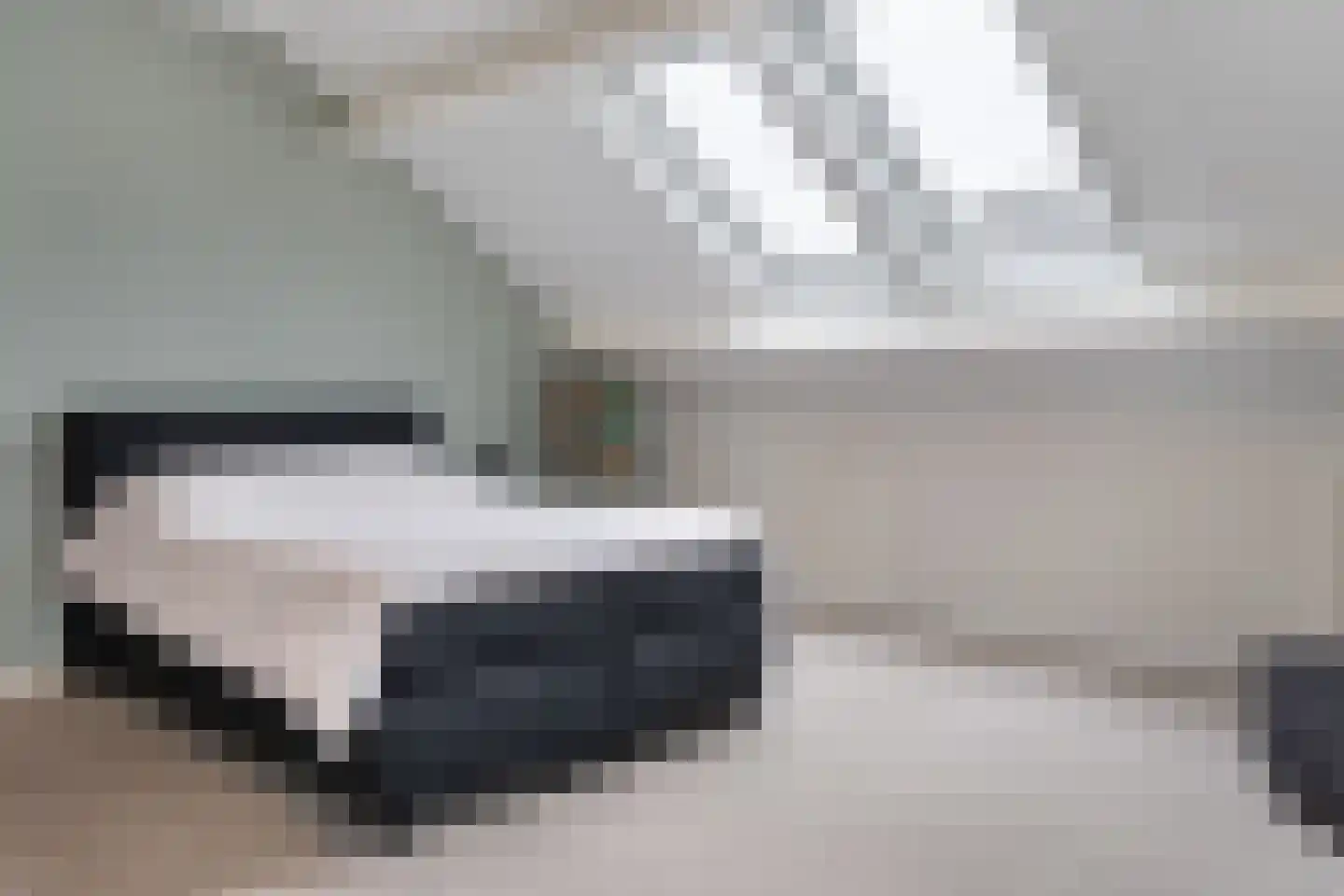 Snavelbies 6 Bovensmilde thumbnail 32