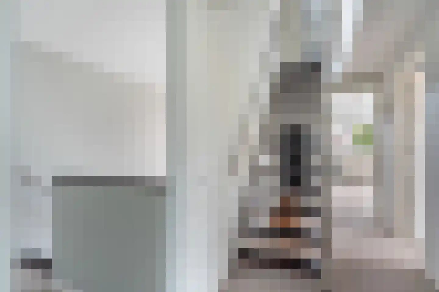 Snavelbies 6 Bovensmilde thumbnail 36