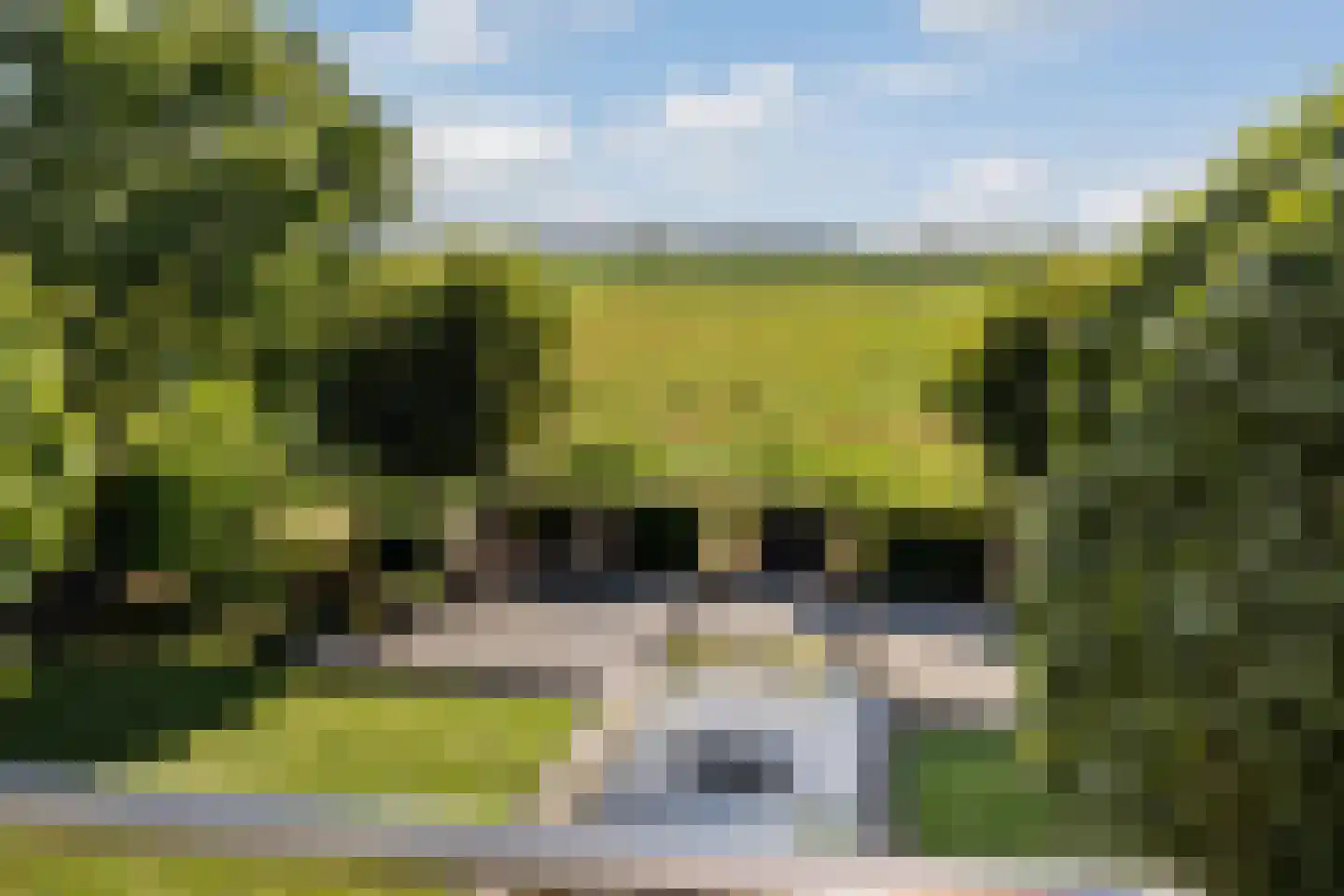 Snavelbies 6 Bovensmilde thumbnail 38