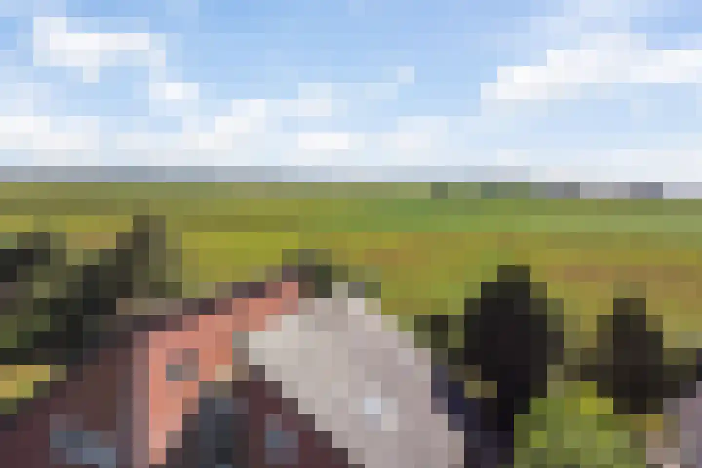 Snavelbies 6 Bovensmilde thumbnail 41