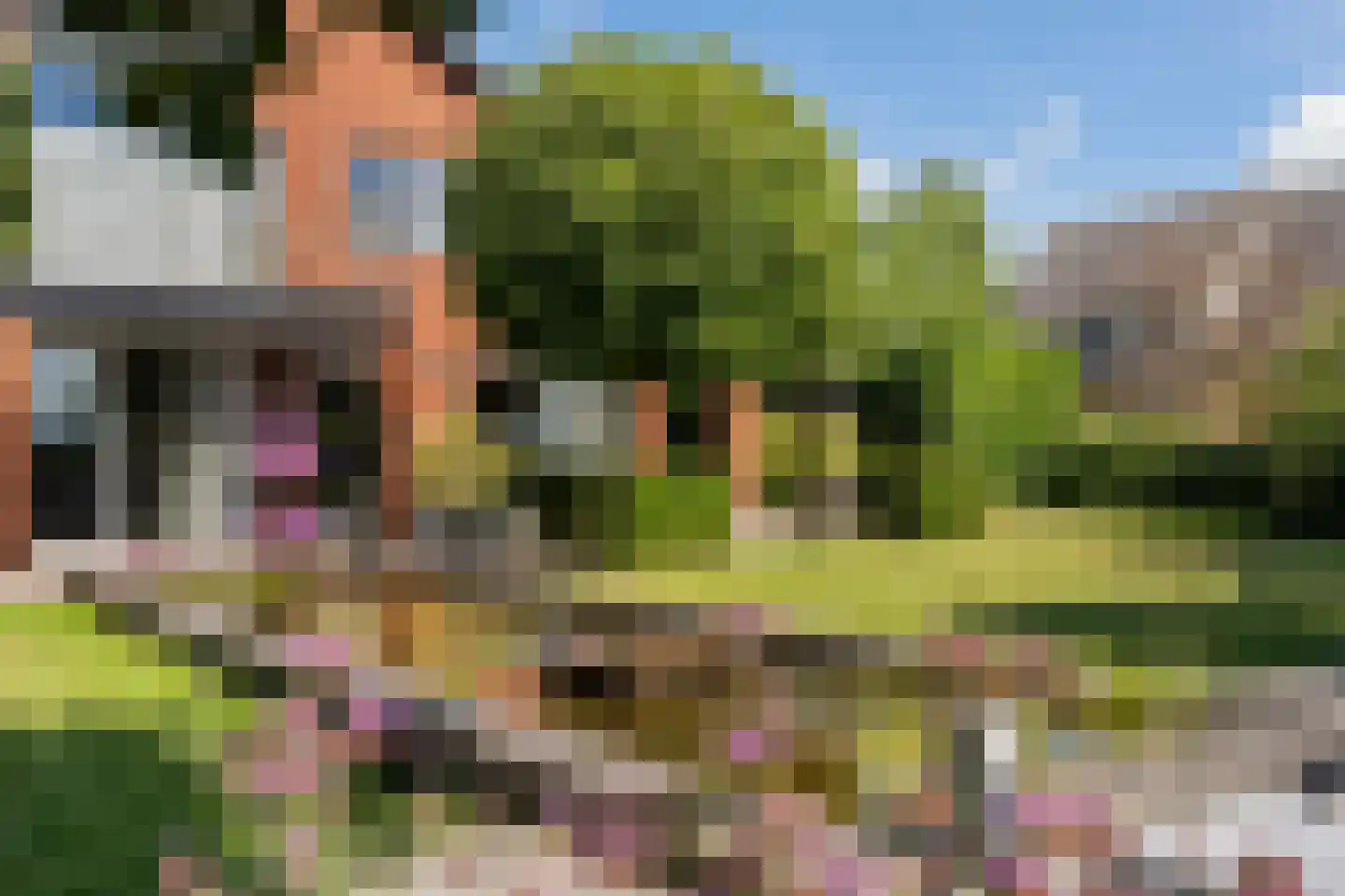 Snavelbies 6 Bovensmilde thumbnail 42