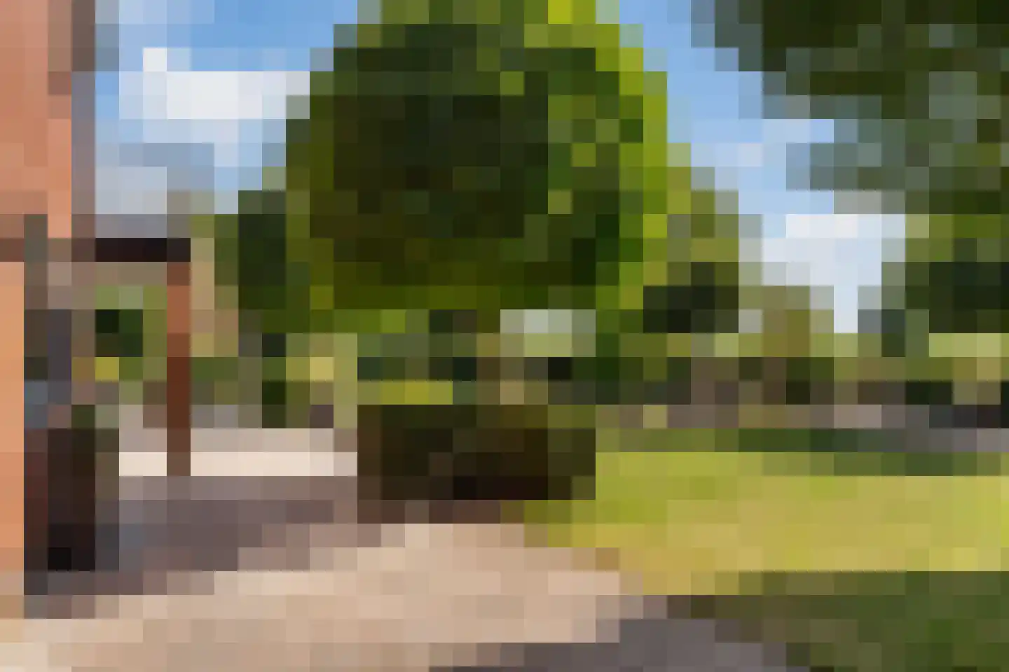 Snavelbies 6 Bovensmilde thumbnail 43