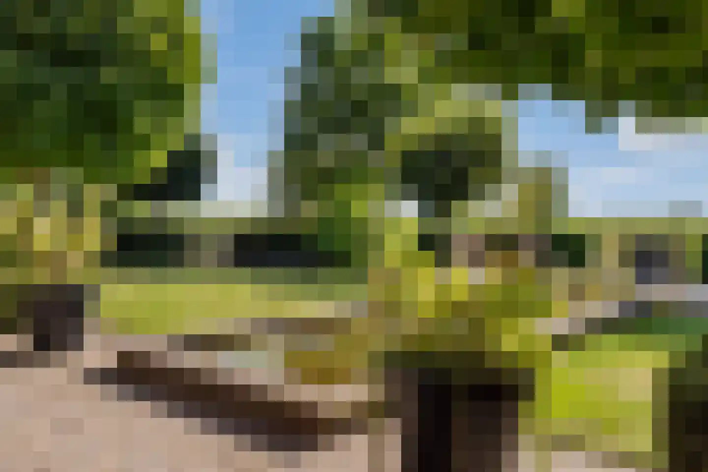 Snavelbies 6 Bovensmilde thumbnail 44